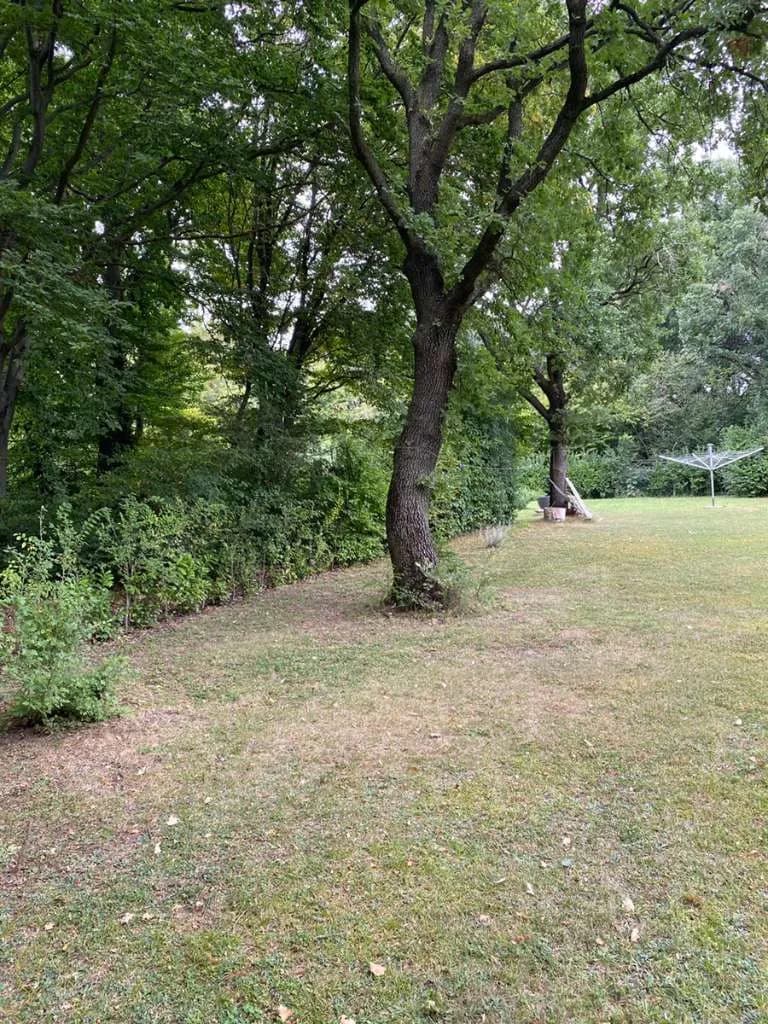 Grundstück mieten in Eisenstadt - Umgebung – 1 078 m², € 6 – Bild 11 von 23
