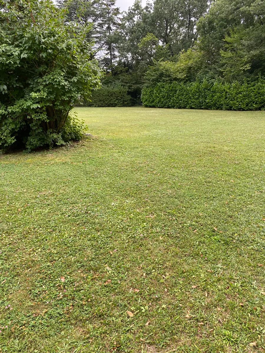 Grundstück mieten in Eisenstadt - Umgebung – 1 078 m², € 6 – Bild 15 von 23