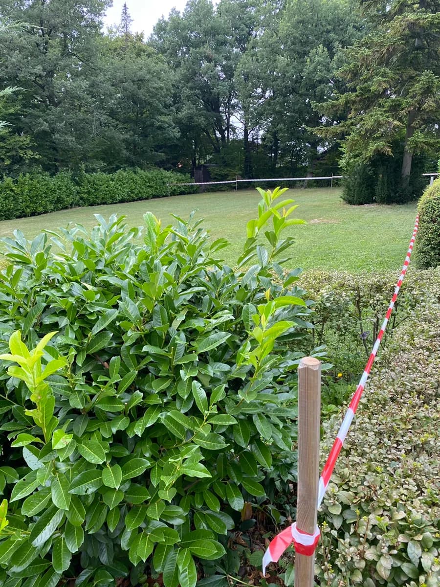 Grundstück mieten in Eisenstadt - Umgebung – 1 078 m², € 6 – Bild 17 von 23