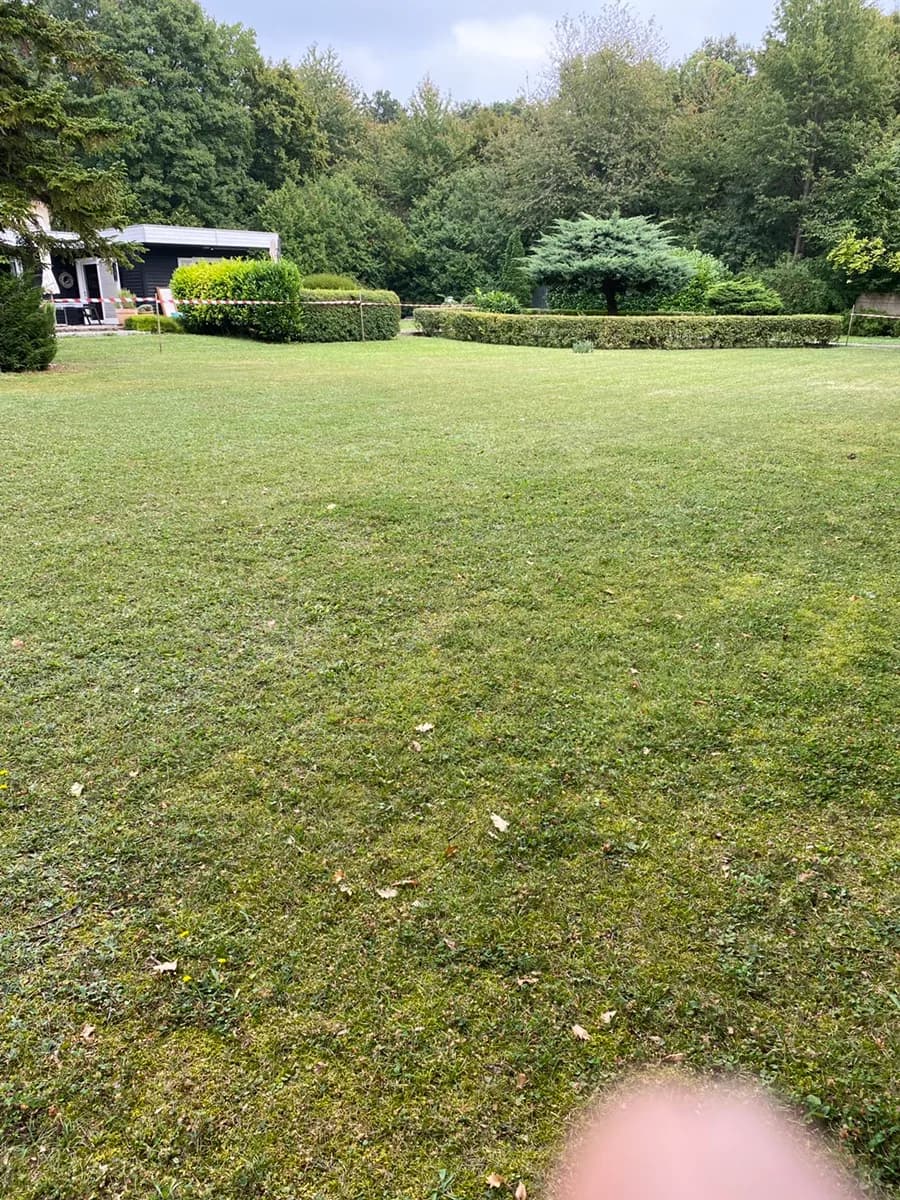 Grundstück mieten in Eisenstadt - Umgebung – 1 078 m², € 6 – Bild 19 von 23