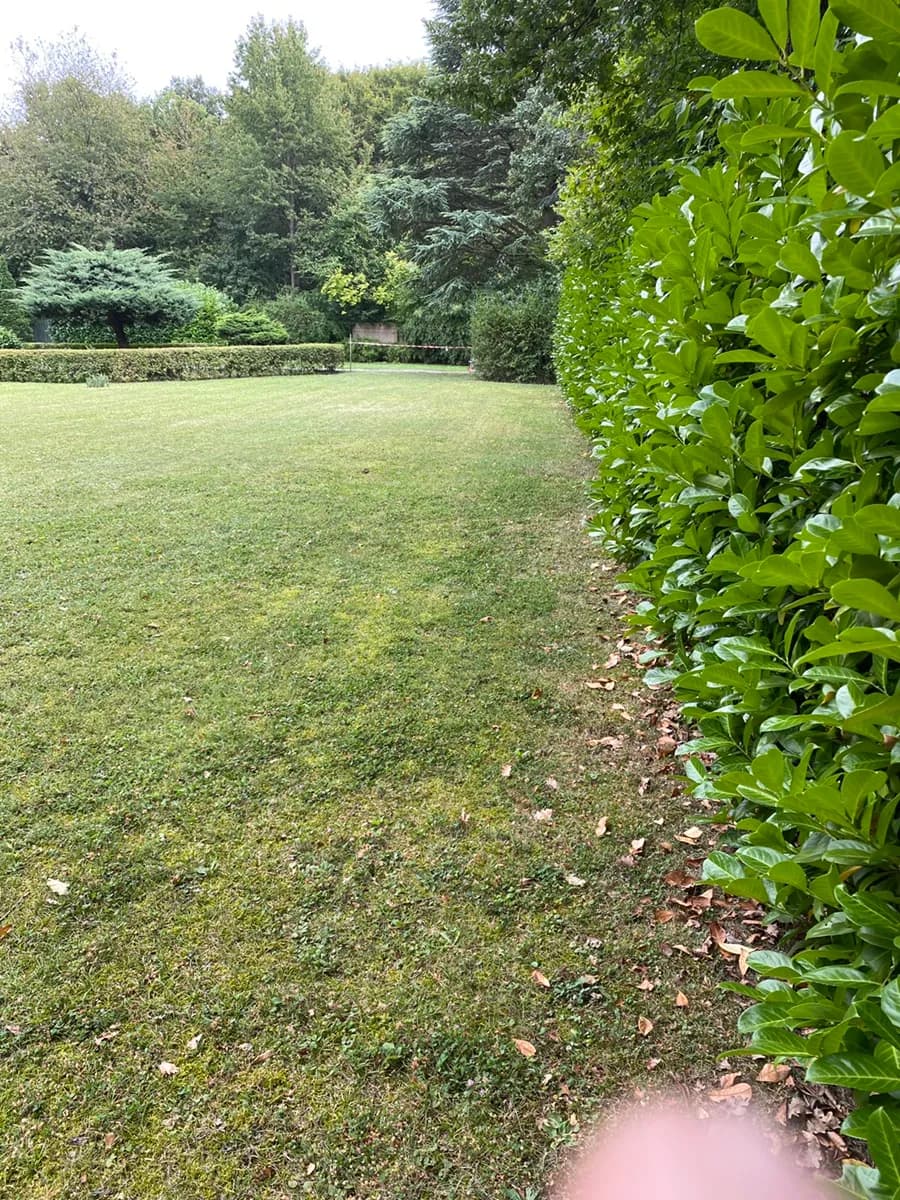 Grundstück mieten in Eisenstadt - Umgebung – 1 078 m², € 6 – Bild 20 von 23