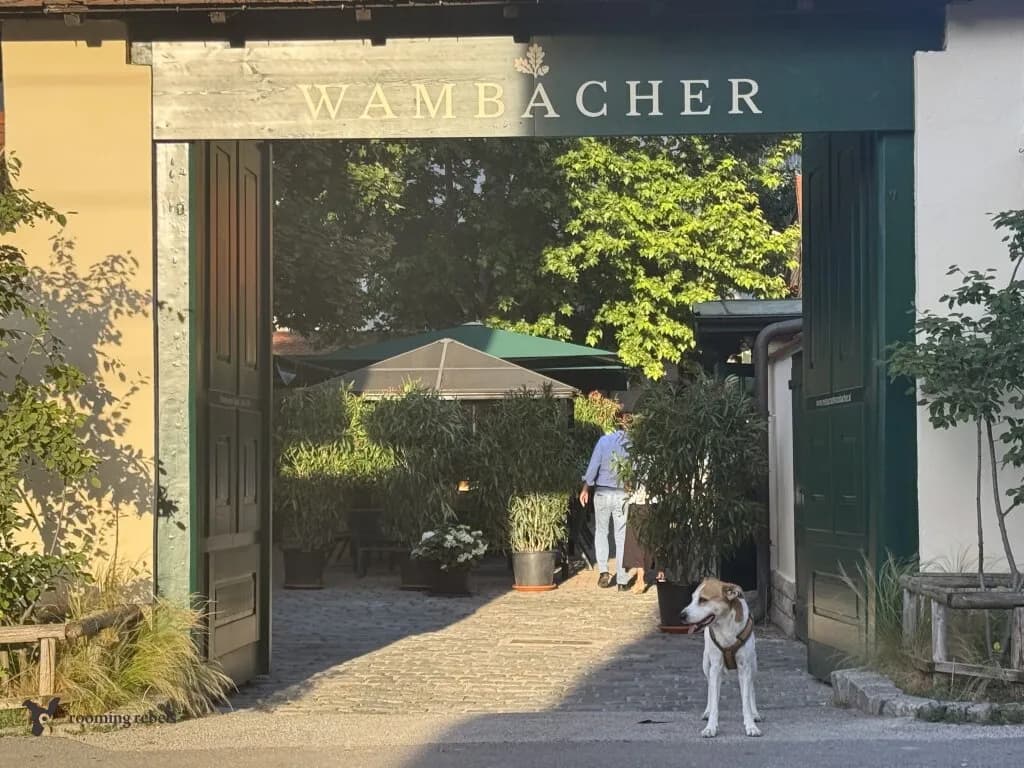 5-Zimmer-Haus kaufen in Wien – 157 m², € 2.700.000 – Bild 9 von 13