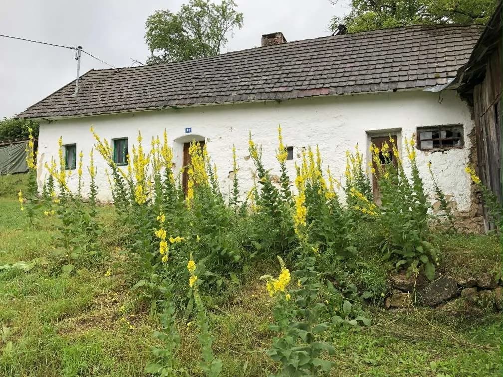 Immobilie kaufen in Freistadt – 12 000 m², € 150.000 – Bild 2 von 27