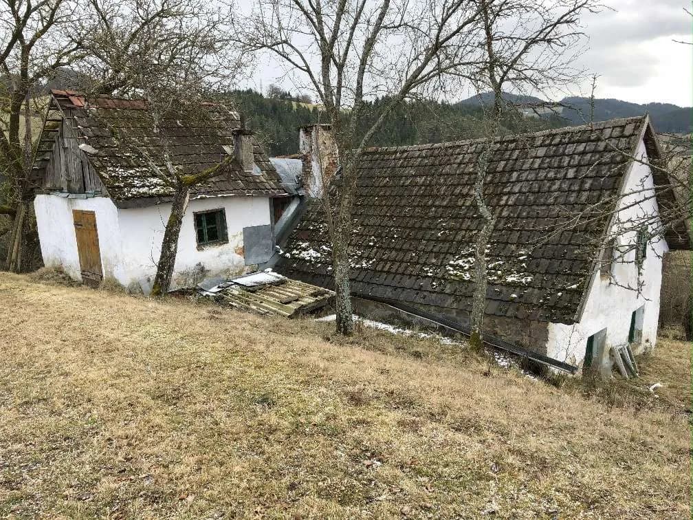Immobilie kaufen in Freistadt – 12 000 m², € 150.000 – Bild 12 von 27