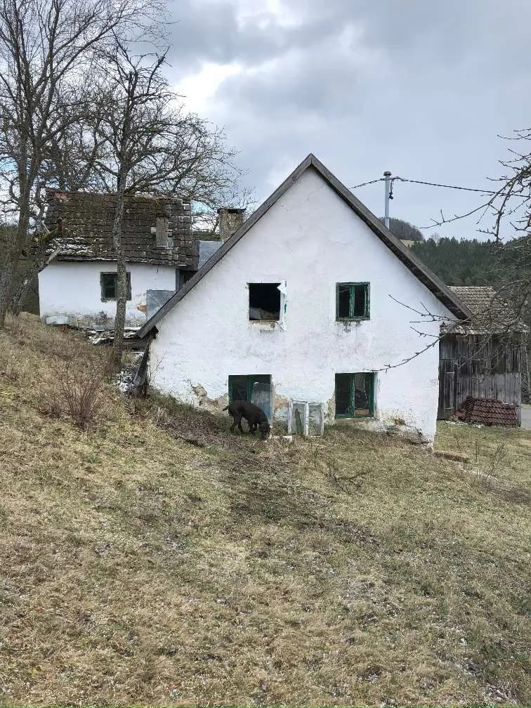 Immobilie kaufen in Freistadt – 12 000 m², € 150.000 – Bild 14 von 27
