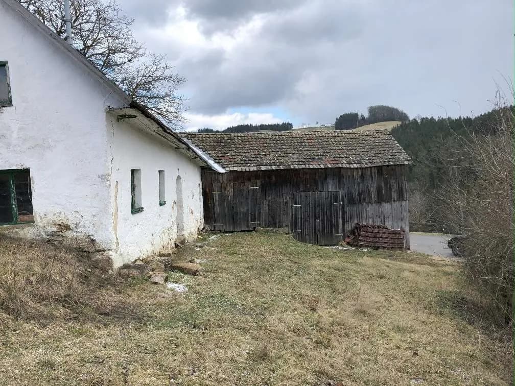 Immobilie kaufen in Freistadt – 12 000 m², € 150.000 – Bild 16 von 27