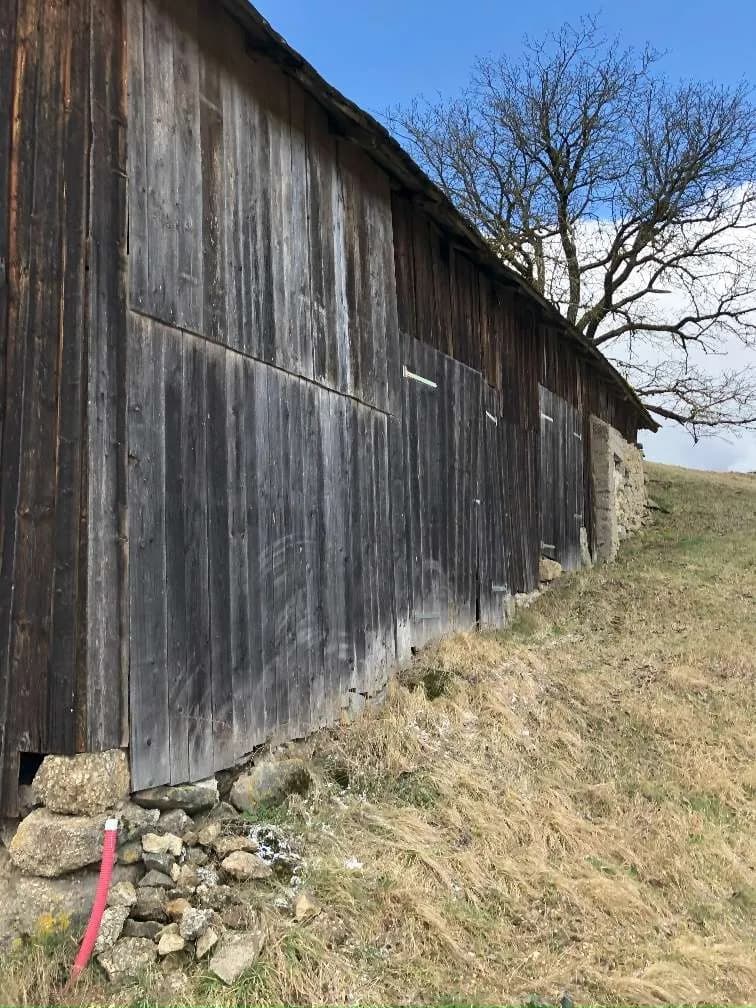 Immobilie kaufen in Freistadt – 12 000 m², € 150.000 – Bild 19 von 27