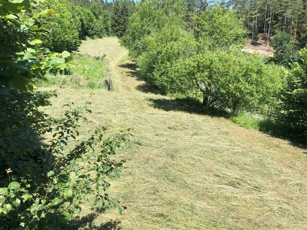 Immobilie kaufen in Freistadt – 12 000 m², € 150.000 – Bild 25 von 27
