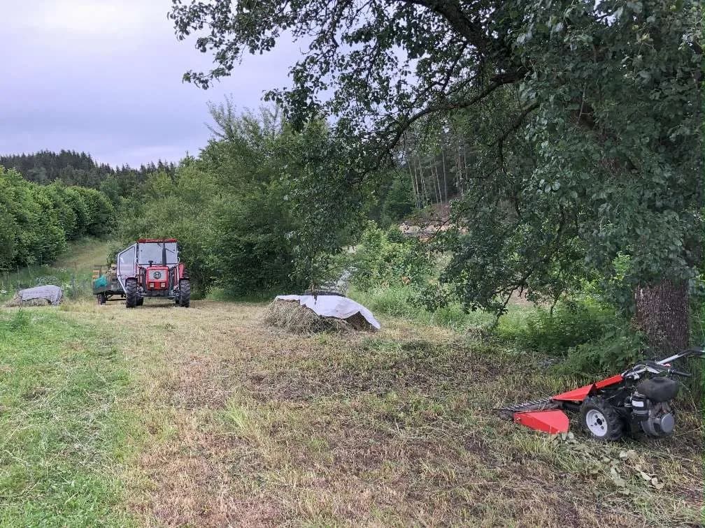 Immobilie kaufen in Freistadt – 12 000 m², € 150.000 – Bild 26 von 27