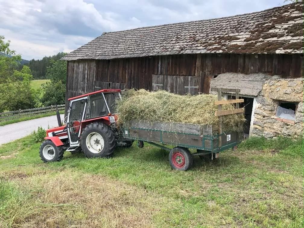 Immobilie kaufen in Freistadt – 12 000 m², € 150.000 – Bild 27 von 27