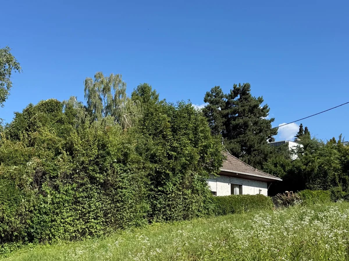 Grundstück kaufen in Linz Land – 1 033 m², € 750.000 – Bild 3 von 7