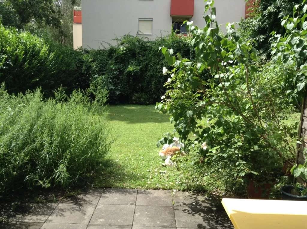 2-Zimmer-Wohnung mieten in Graz – 58 m², € 952