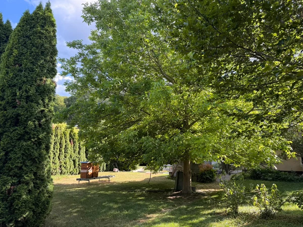 7-Zimmer-Haus kaufen in Baden – 230 m², € 500.000 – Bild 15 von 15
