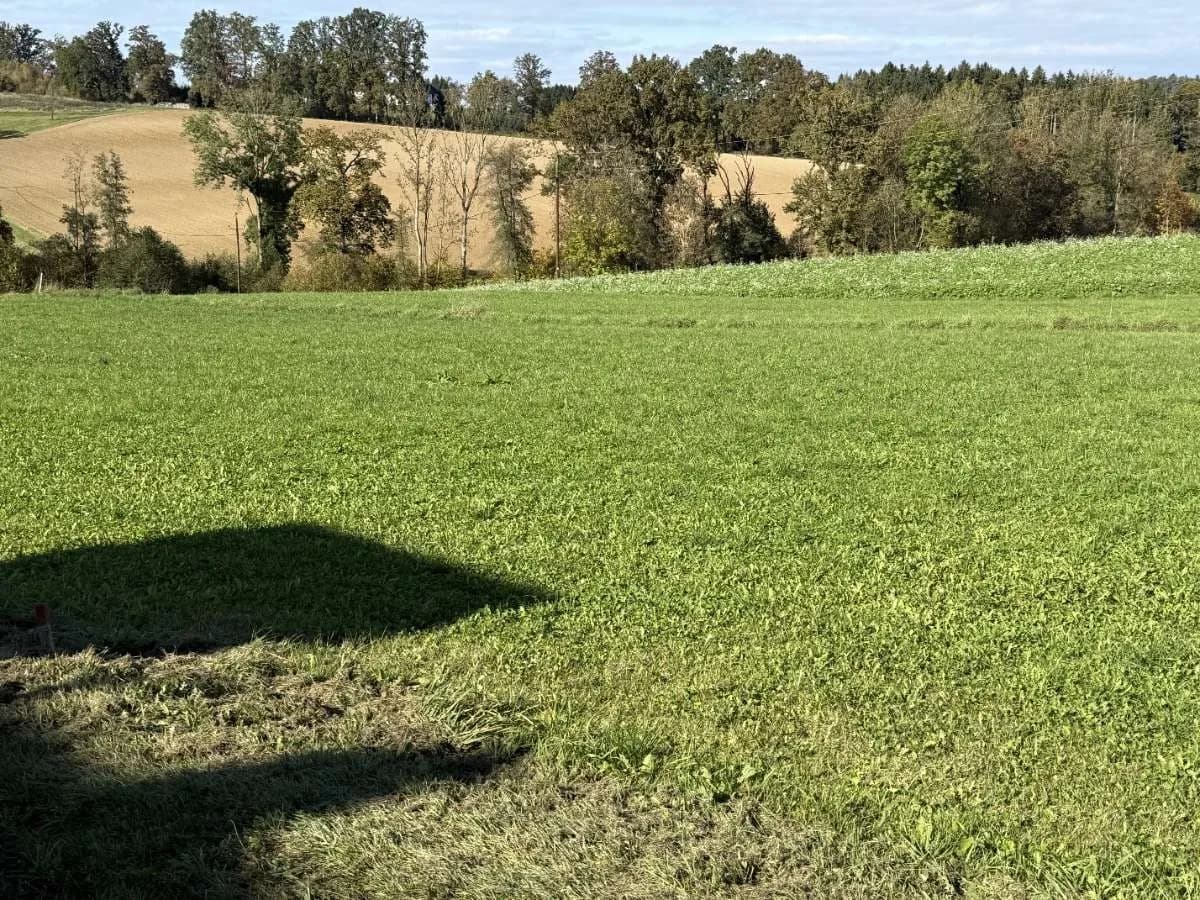 Grundstück kaufen in Perg – 784 m², € 169.000 – Bild 2 von 3