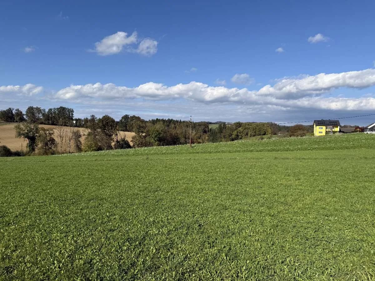 Grundstück kaufen in Perg – 784 m², € 169.000 – Bild 3 von 3