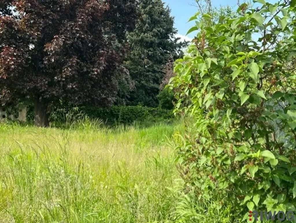 Grundstück kaufen in Korneuburg – 506 m², € 439.000 – Bild 5 von 7