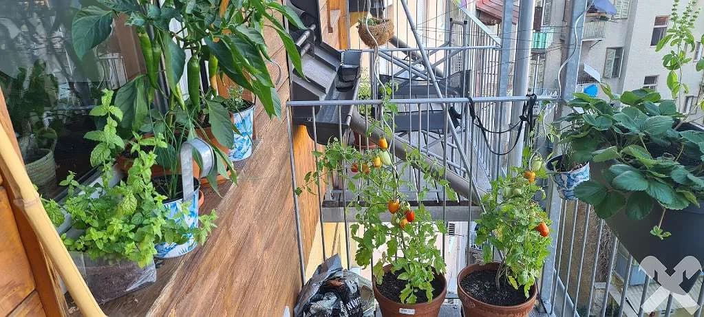 3-Zimmer-Wohnung kaufen in Graz – 87,14 m², € 267.000 – Bild 14 von 15