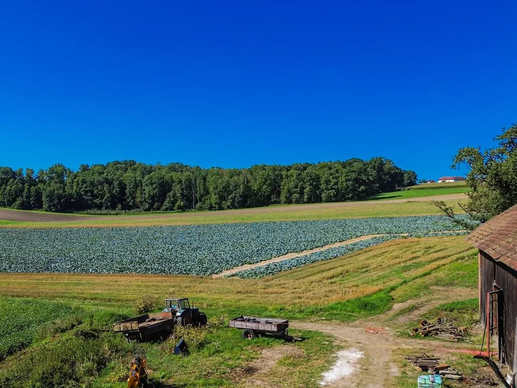 Grundstück kaufen in Eferding – 200 m², € 790.000 – Bild 3 von 15