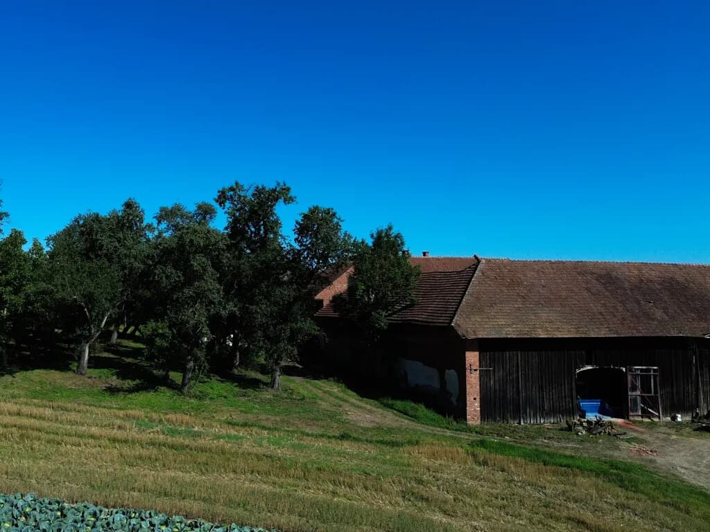 Grundstück kaufen in Eferding – 200 m², € 790.000 – Bild 5 von 15