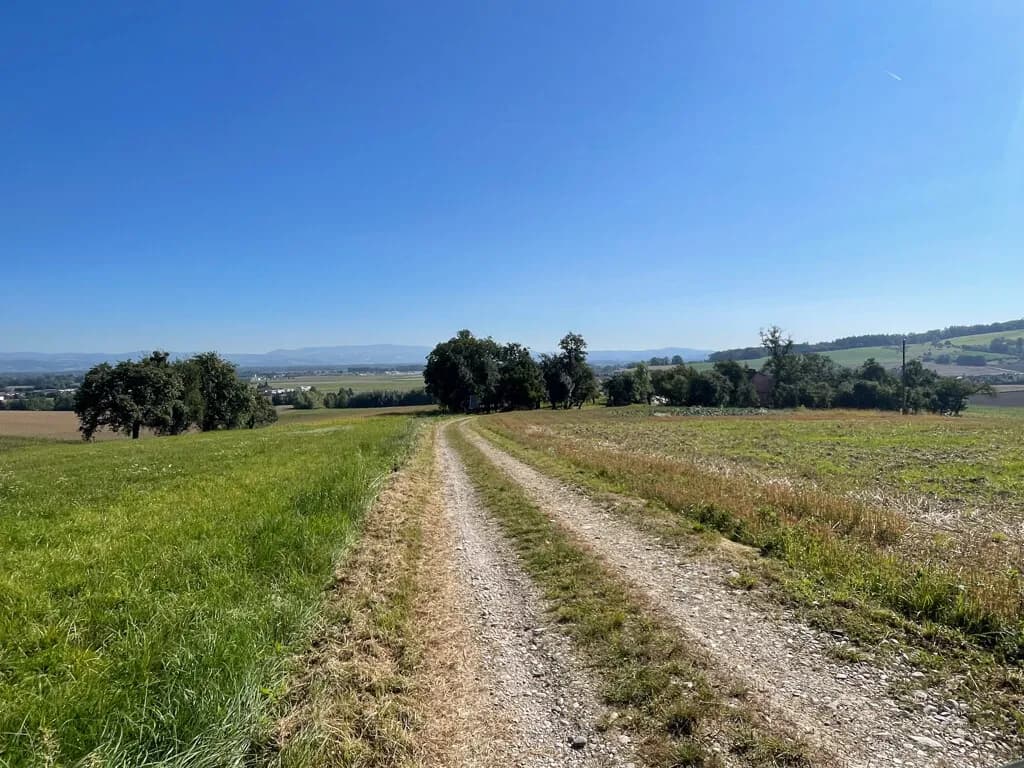 Grundstück kaufen in Eferding – 200 m², € 790.000 – Bild 12 von 15