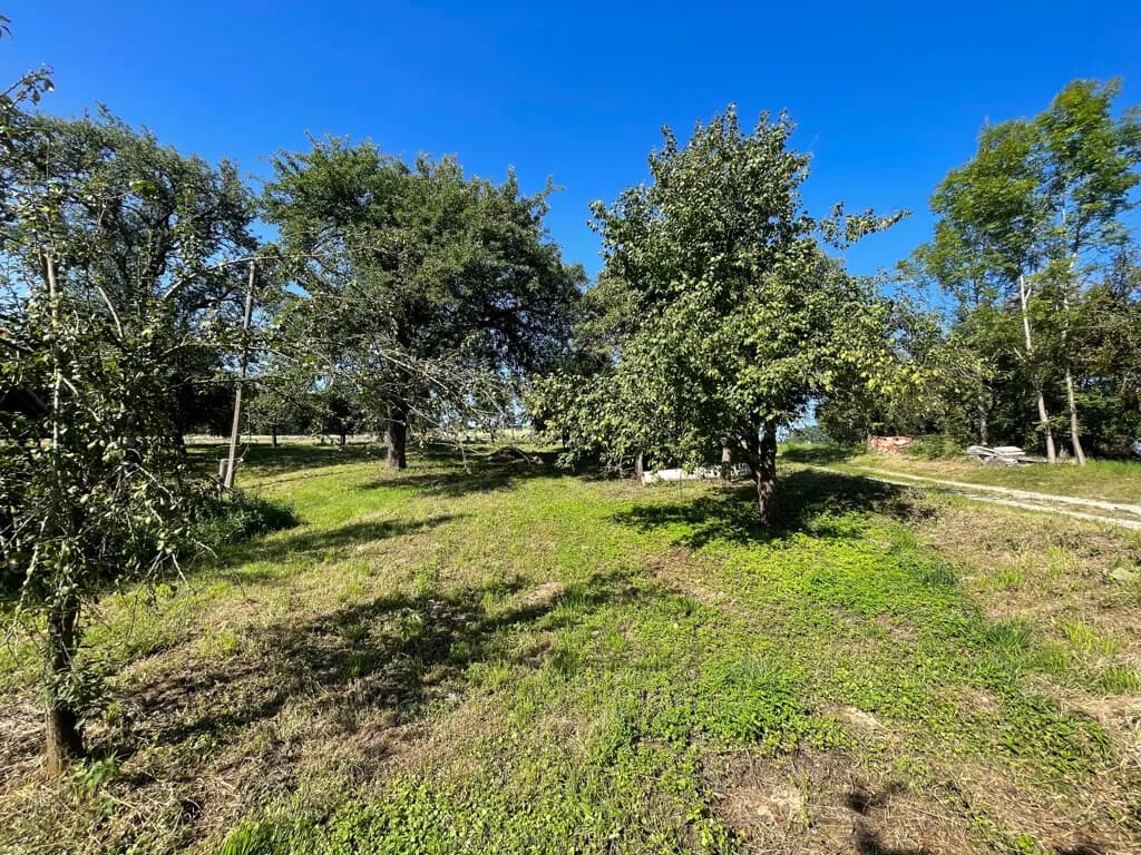 Grundstück kaufen in Eferding – 200 m², € 790.000 – Bild 13 von 15