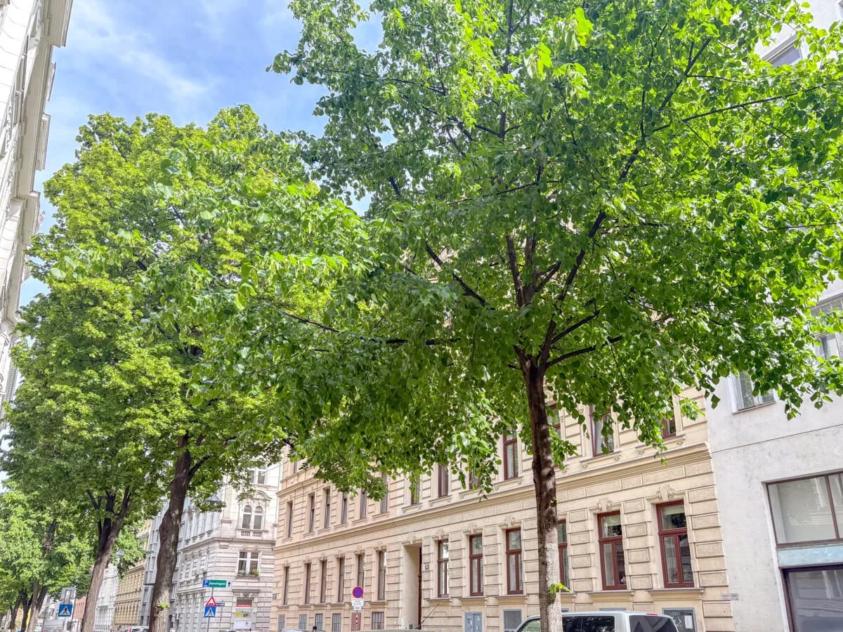 1-Zimmer-Wohnung kaufen in Wien – 48,64 m², € 389.000 – Bild 2 von 8