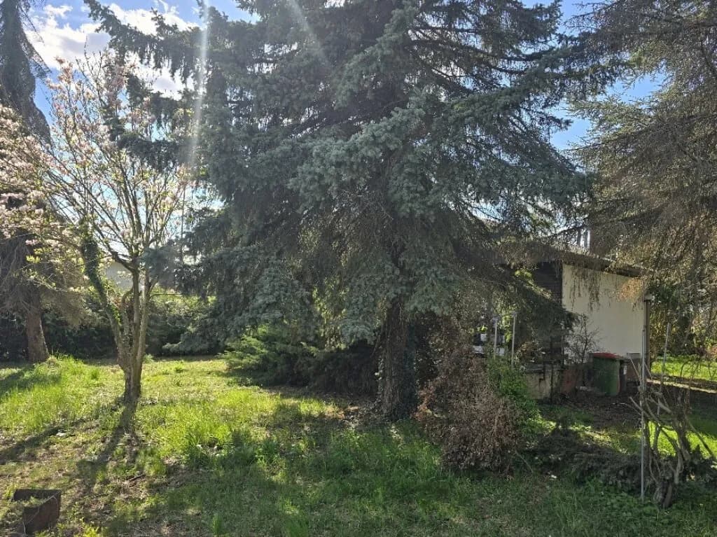 3-Zimmer-Haus kaufen in Gänserndorf – 37,5 m², € 449.000 – Bild 4 von 8