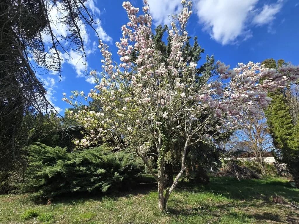 3-Zimmer-Haus kaufen in Gänserndorf – 37,5 m², € 449.000 – Bild 6 von 8