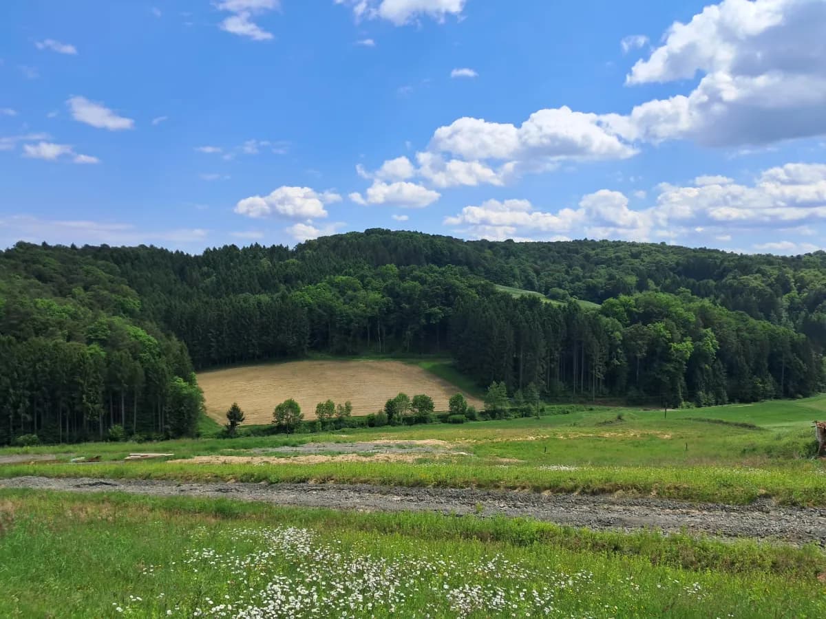 Grundstück kaufen in Südoststeiermark – 92 000 m², € 380.000 – Bild 2 von 6