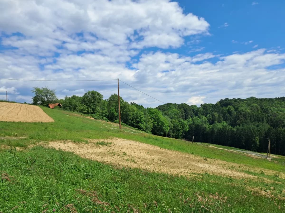 Grundstück kaufen in Südoststeiermark – 92 000 m², € 380.000 – Bild 3 von 6
