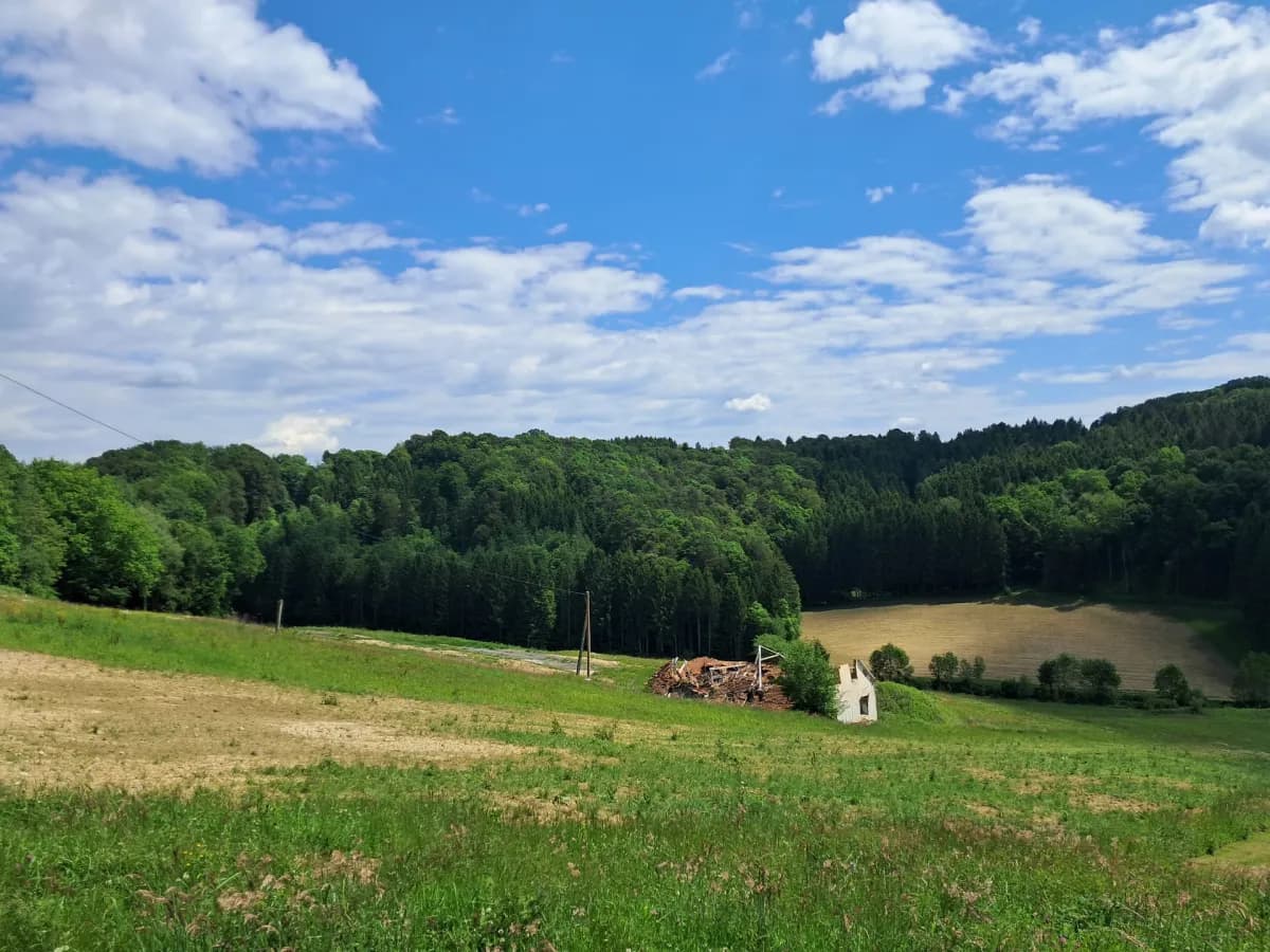 Grundstück kaufen in Südoststeiermark – 92 000 m², € 380.000 – Bild 4 von 6