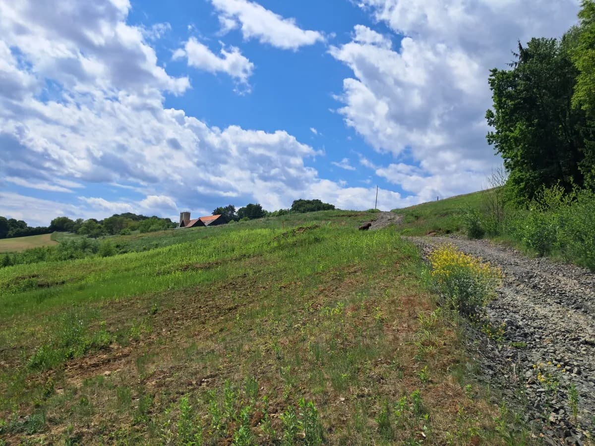 Grundstück kaufen in Südoststeiermark – 92 000 m², € 380.000 – Bild 6 von 6