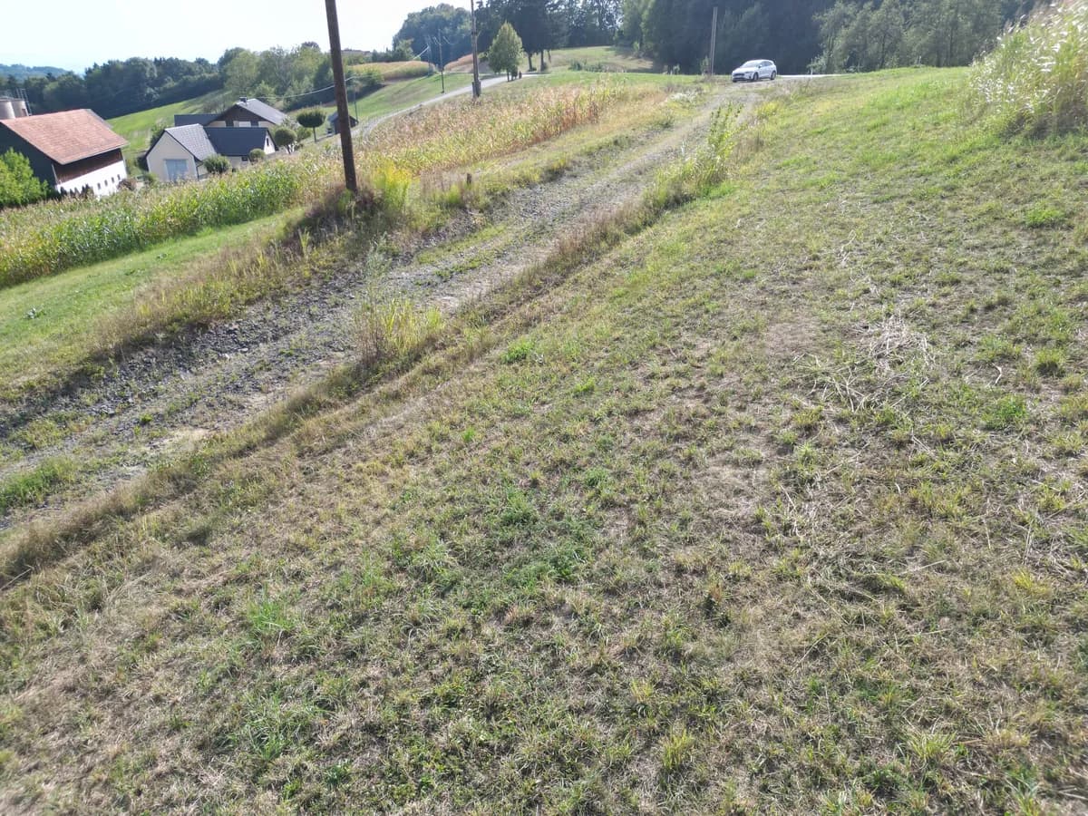 Grundstück kaufen in Südoststeiermark – 92 000 m², € 399.000 – Bild 7 von 15