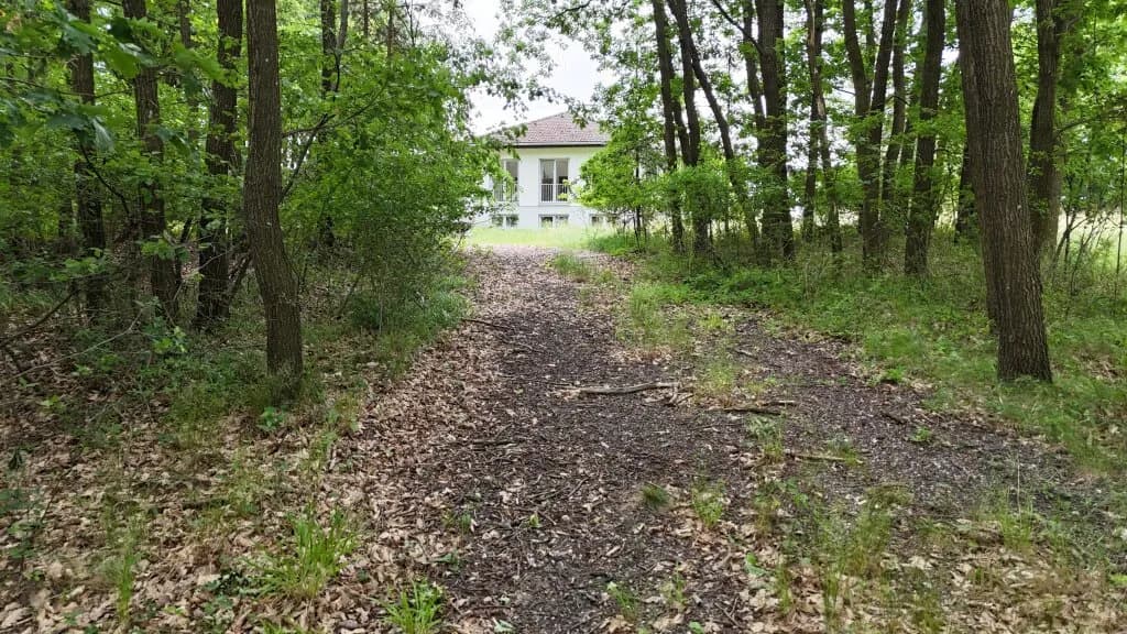 Haus kaufen in Horn – 240 m², € 449.000 – Bild 7 von 17