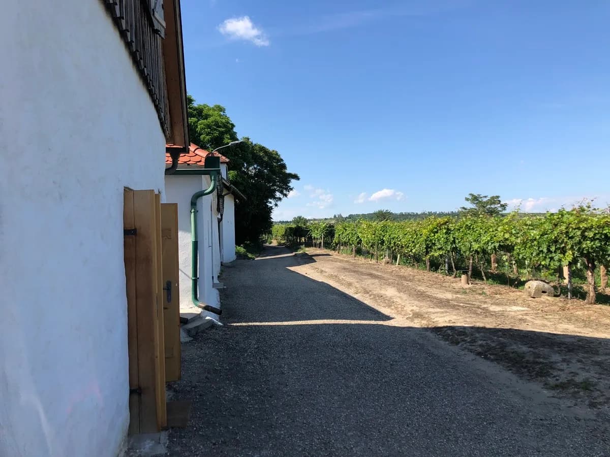 3-Zimmer-Haus kaufen in Hollabrunn – 80 m², € 98.000 – Bild 4 von 18