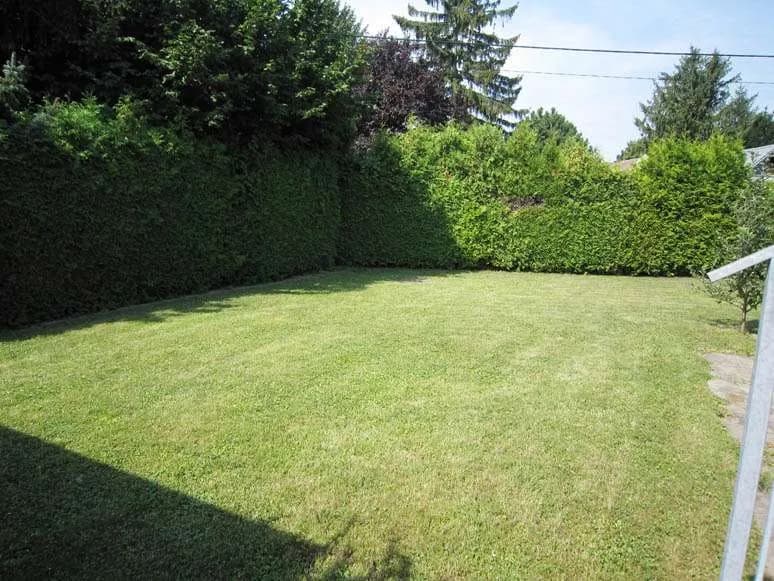 2-Zimmer-Haus mieten in Korneuburg – 53 m², € 1.490 – Bild 6 von 11
