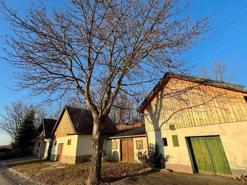 Immobilie mieten in Hollabrunn – 80 m², € 199 – Bild 2 von 17