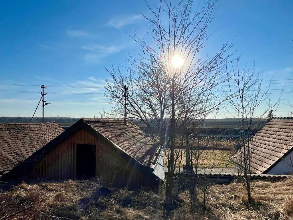 Immobilie mieten in Hollabrunn – 80 m², € 199 – Bild 13 von 17