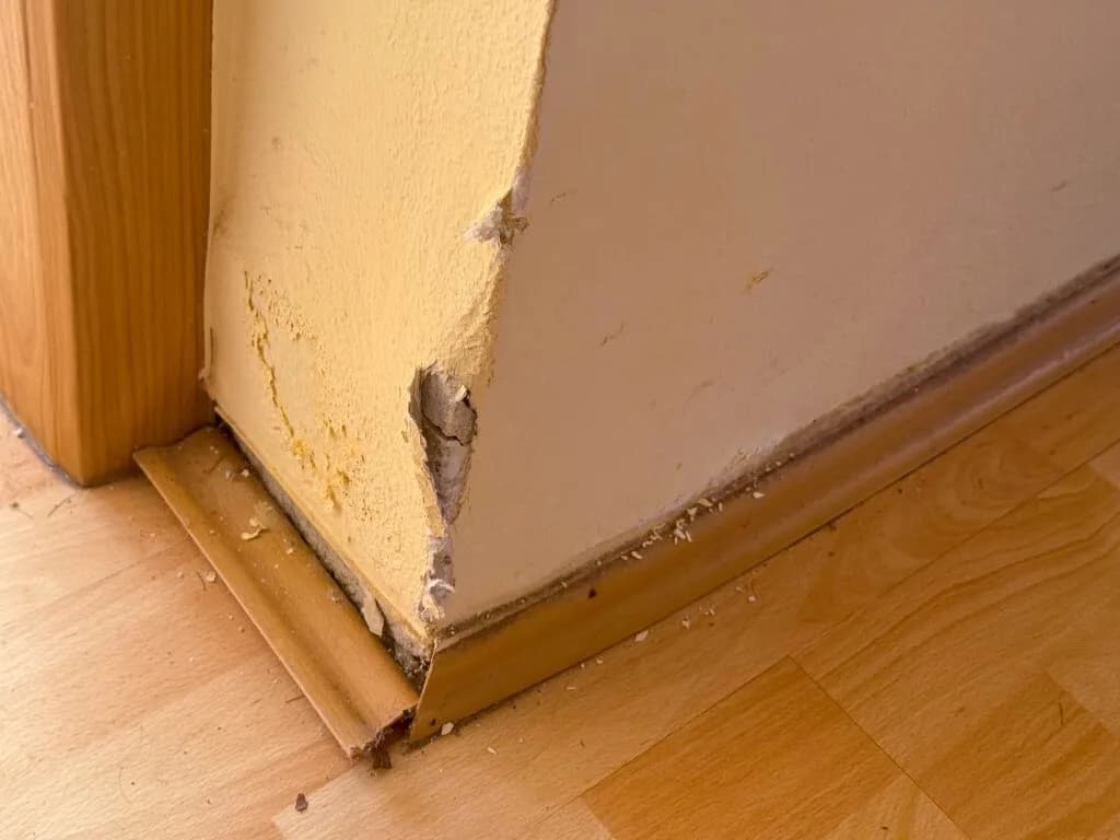 Grundstück kaufen in Baden – 861 m², € 269.000 – Bild 14 von 23