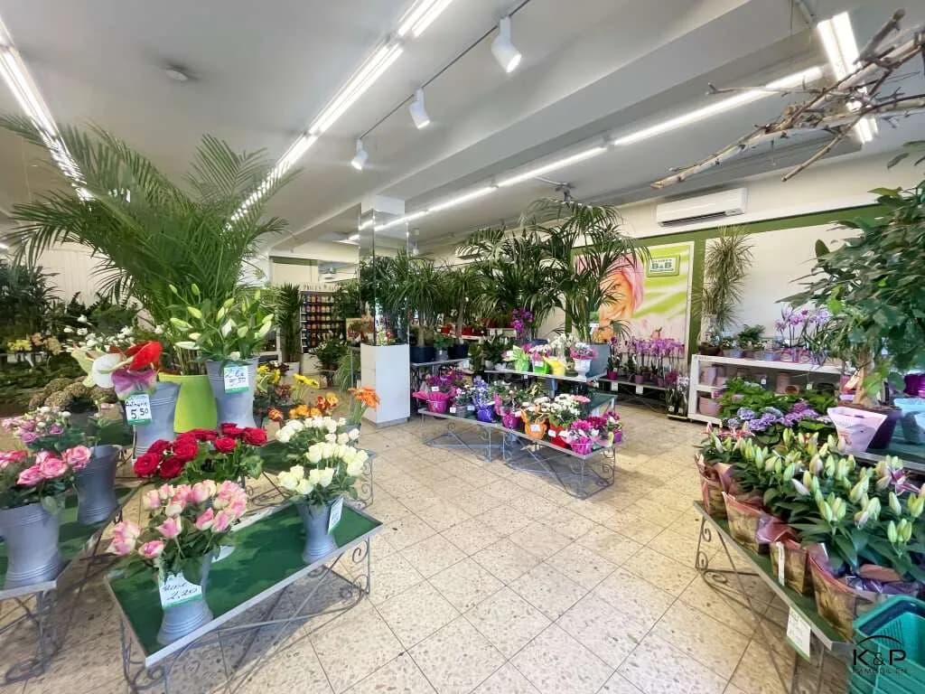 Gewerbeimmobilie kaufen in Villach – 1 300 m², € 2.000.000 – Bild 14 von 28