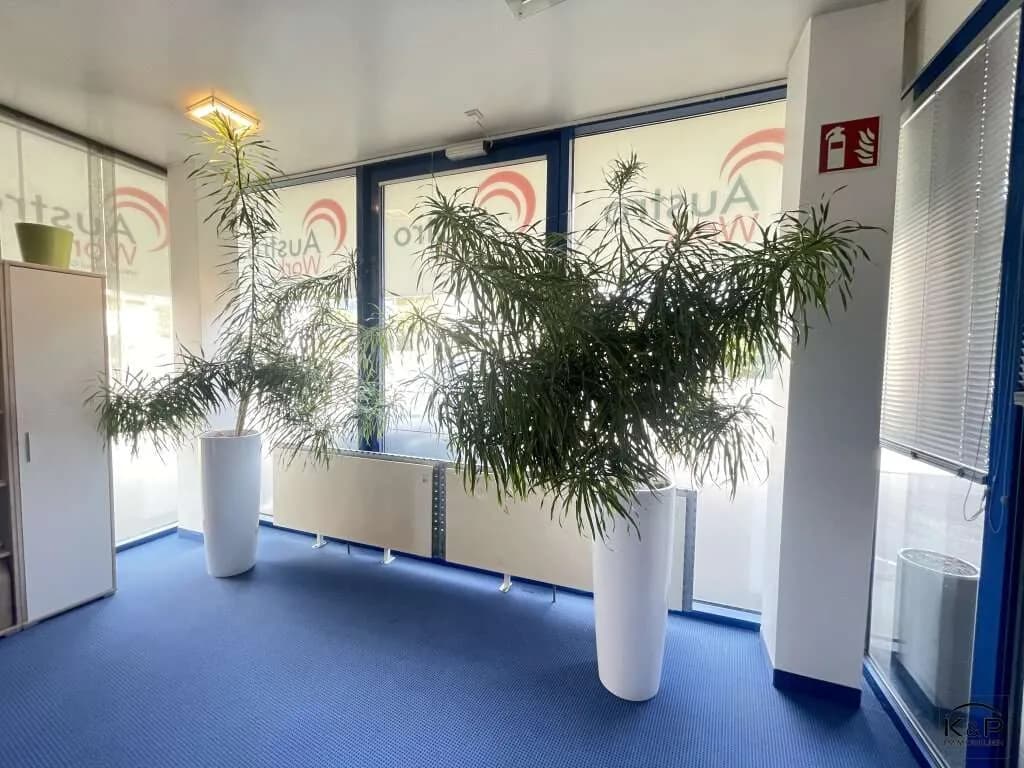 Gewerbeimmobilie kaufen in Villach – 1 300 m², € 2.000.000 – Bild 16 von 28