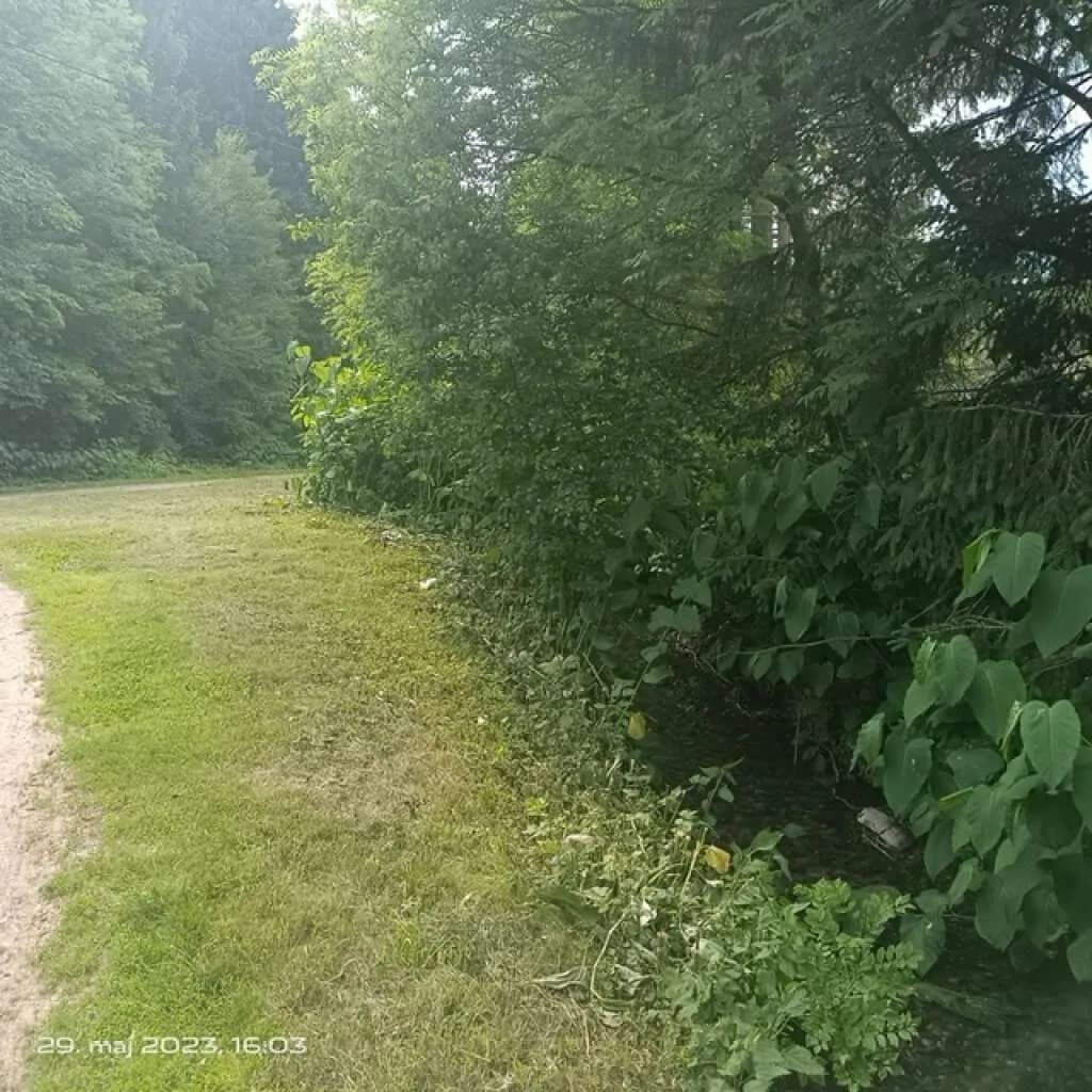Immobilie kaufen in Villach Land – 750 m², € 80.000 – Bild 6 von 13