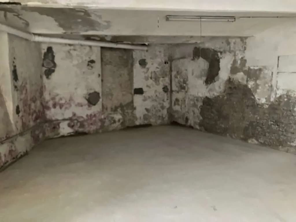 1-Zimmer-Gewerbeimmobilie mieten in Wien – 48 m², € 404 – Bild 9 von 16
