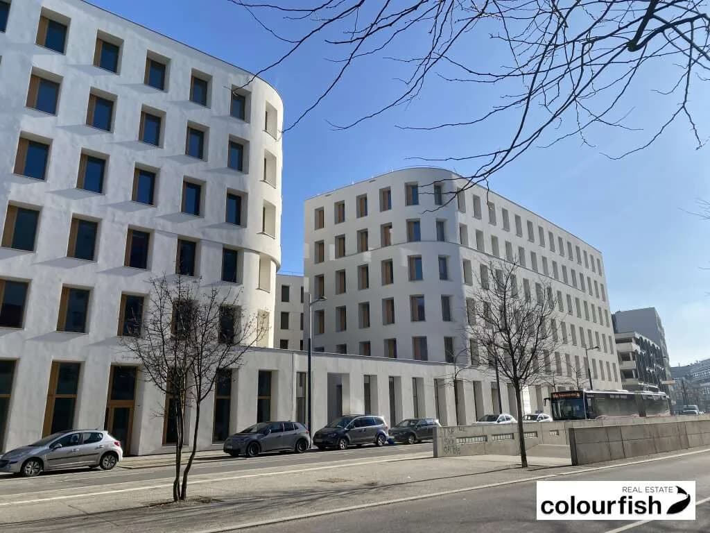 Gewerbeimmobilie mieten in Wien – 245 m², € 4.337 – Bild 3 von 10