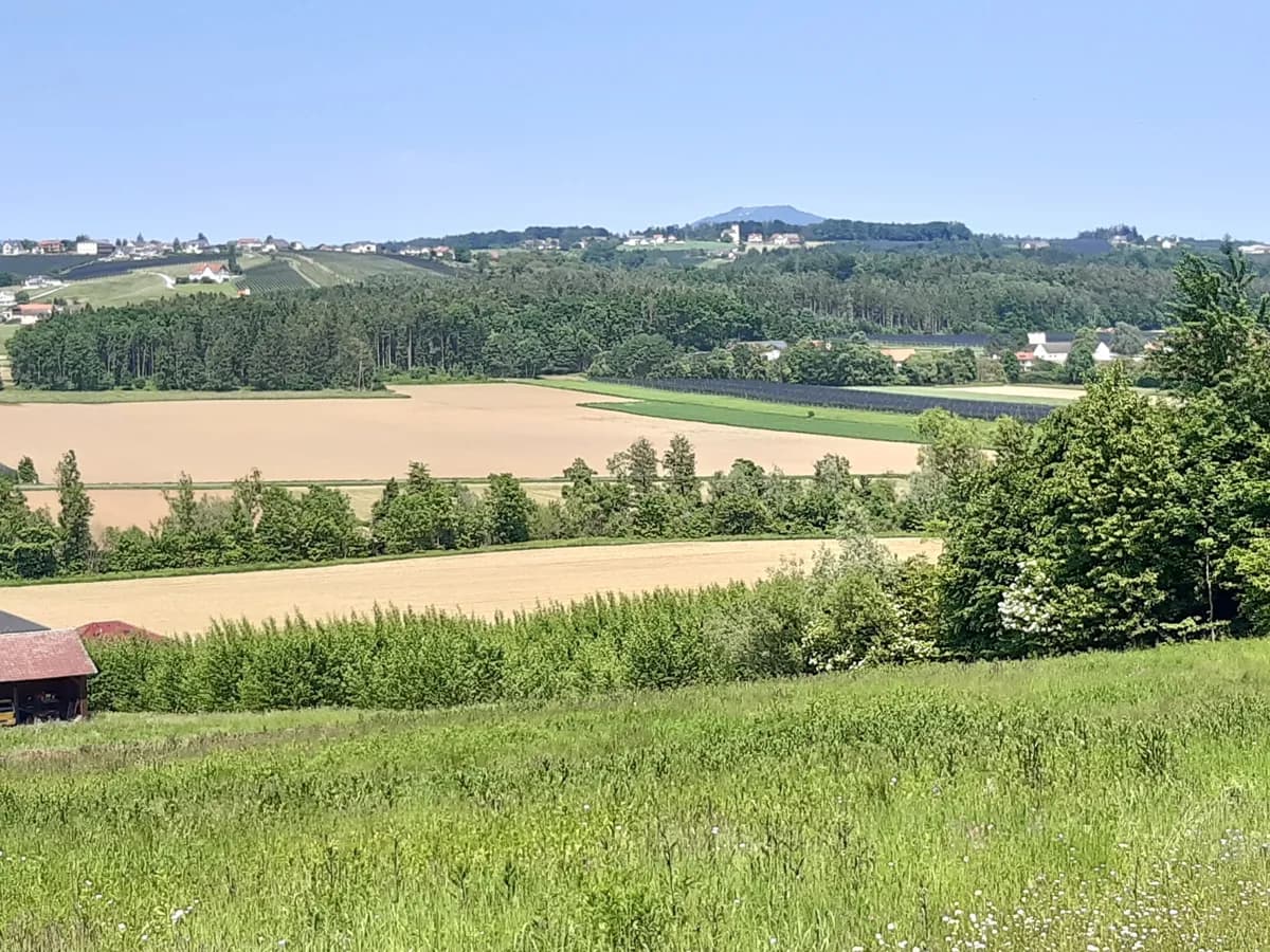 Grundstück kaufen in Weiz – 1 310 m², € 115.000 – Bild 2 von 4