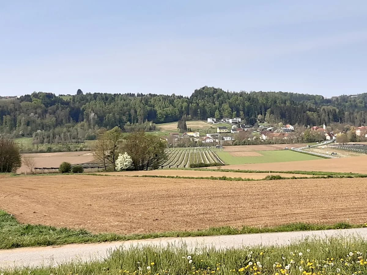 Grundstück kaufen in Weiz – 1 310 m², € 115.000 – Bild 3 von 4