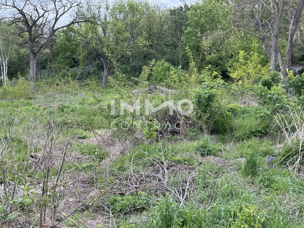 Grundstück kaufen in Mistelbach – 2 636 m², € 135.000 – Bild 4 von 5
