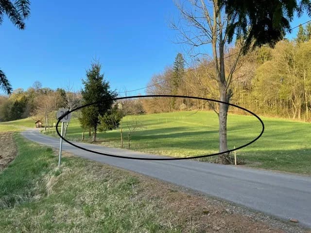 Grundstück kaufen in Südoststeiermark – 1 263 m², € 88.410 – Bild 8 von 9