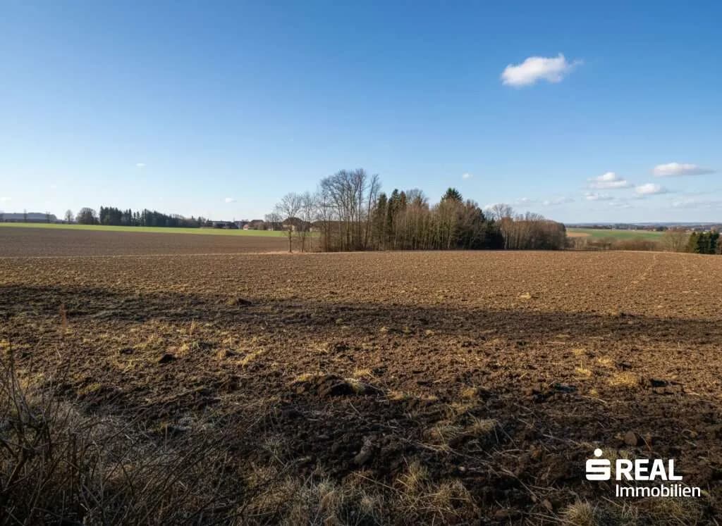Haus kaufen in Grieskirchen – 150 m², € 155.000 – Bild 7 von 13