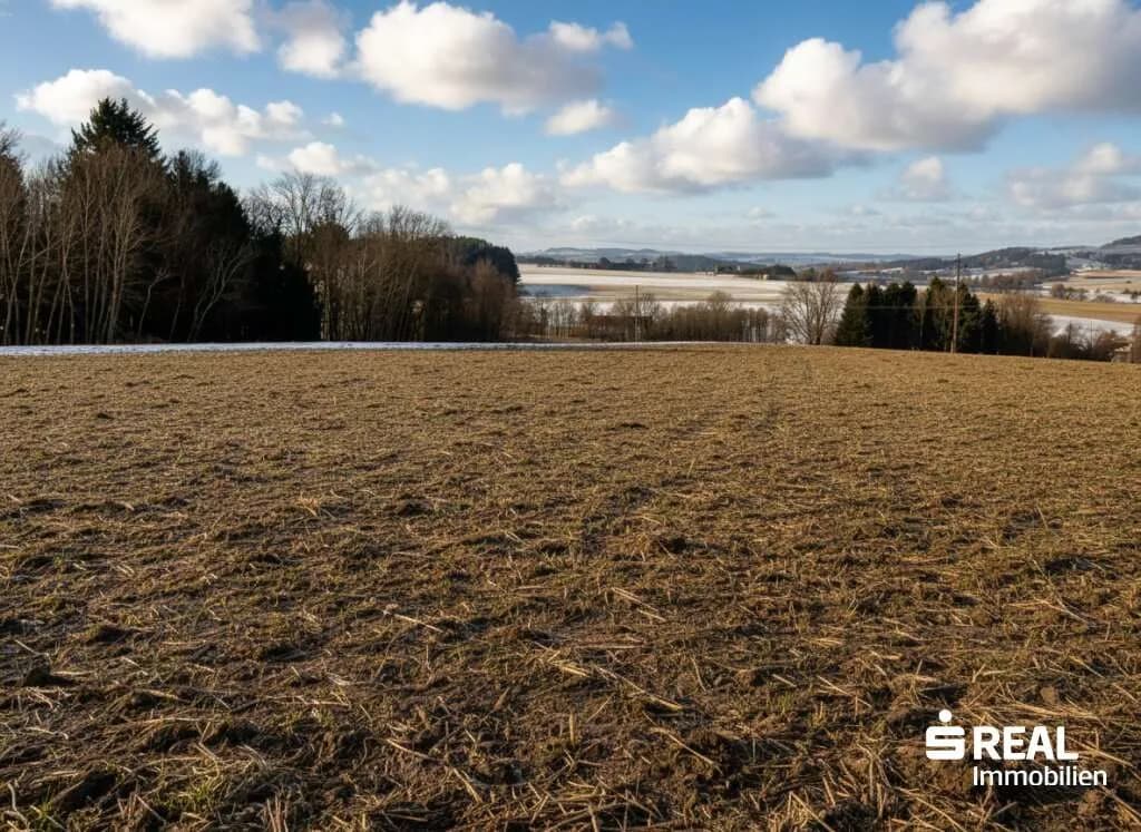 Haus kaufen in Grieskirchen – 150 m², € 155.000 – Bild 8 von 13
